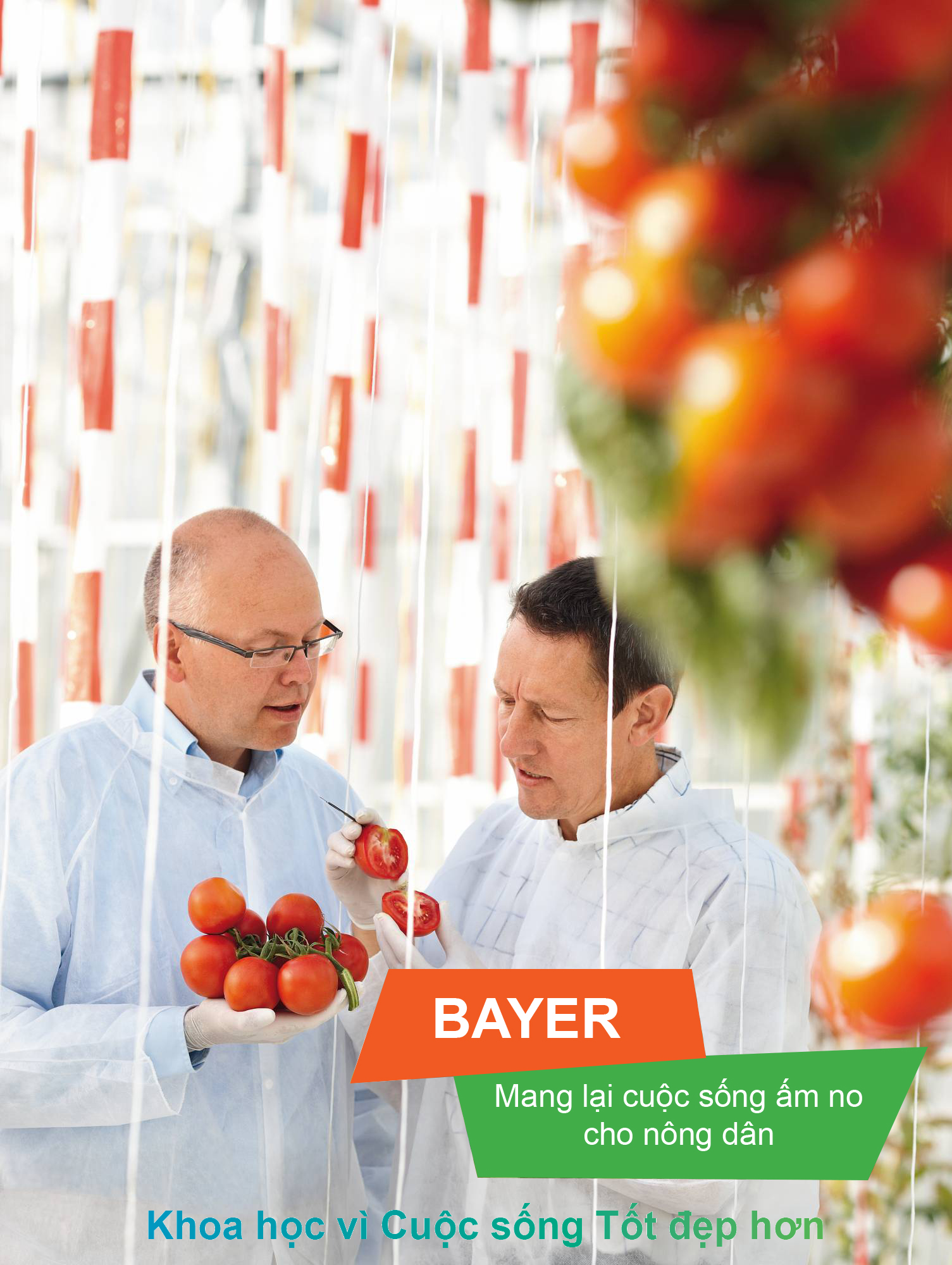 Bayer CropScience - Bayer CropScience Việt Nam